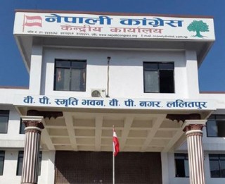 काँग्रेसमा वडादेखि केन्द्रसम्म महिला सहभागिता बढाउन माग